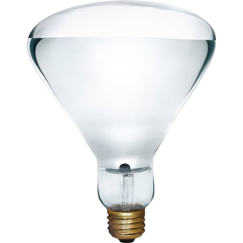 Lampe d'extérieur à DEL PAR38 de 15 W, 4000 K